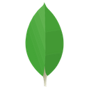 MongoDB